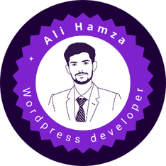 Ali Hamza Wordpress developer (1)