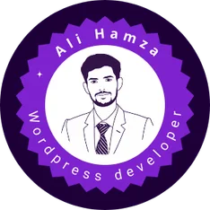Ali Hamza Wordpress developer (1)